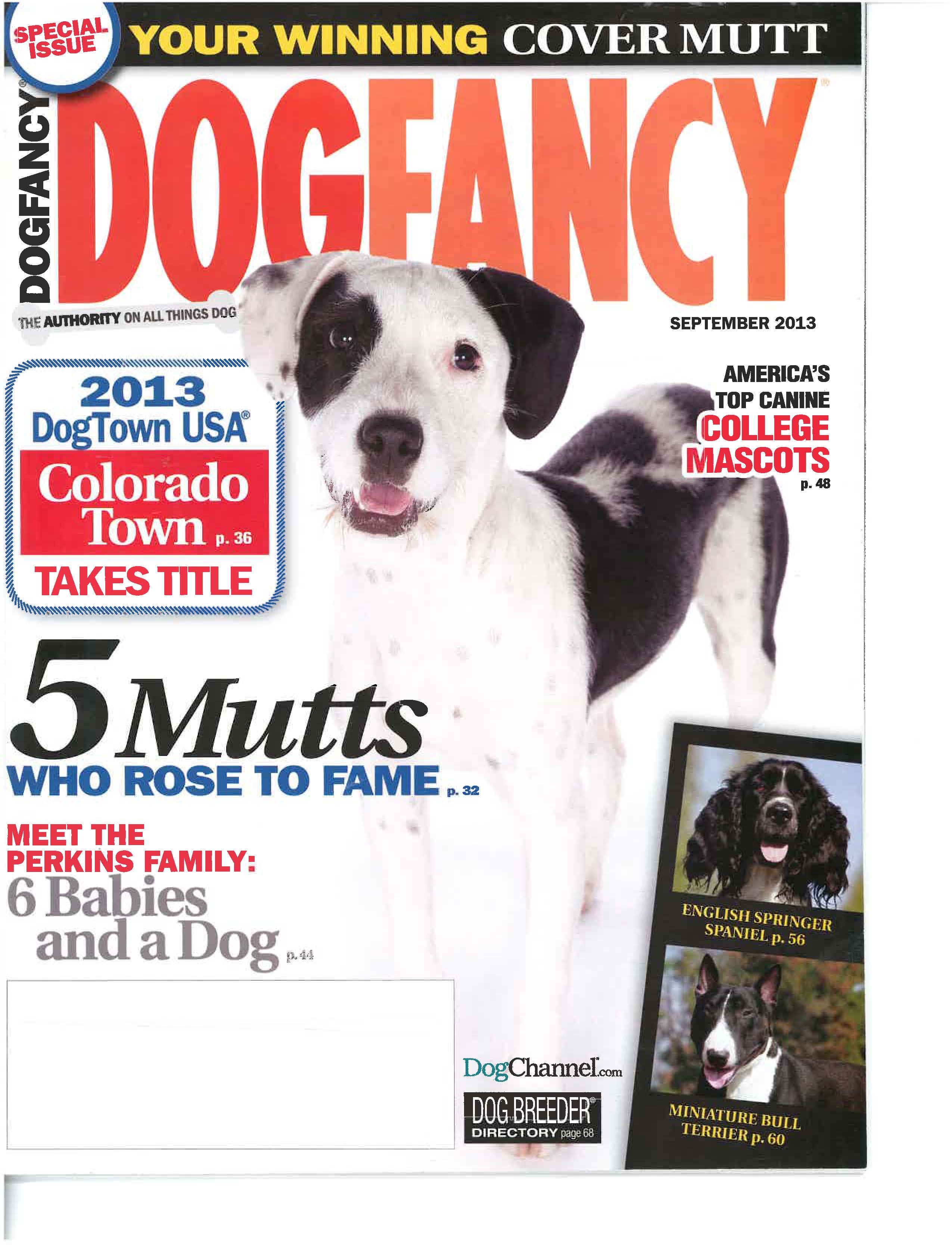 Dog Fancy Cover
