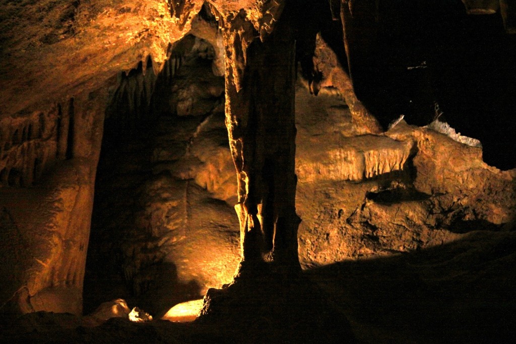 colossal cave mammals